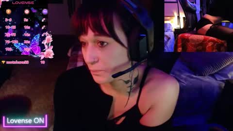 3ShyCat3 online show from November 25, 6:04 am