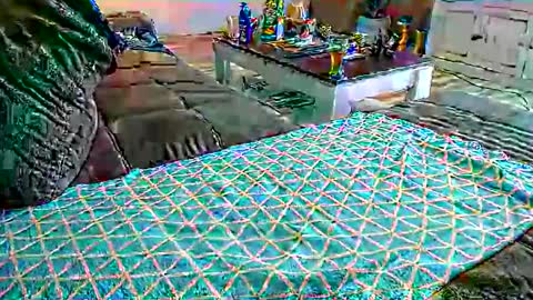 Doggystyle online show from February 23, 8:39 am