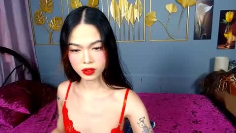 Amiera online show from February 15, 6:53 am