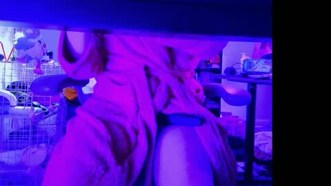 Bailey  online show from April 12, 2:15 am