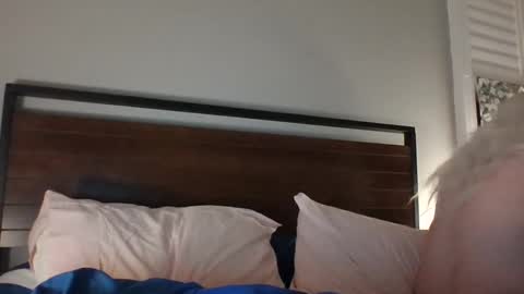 BjBambi online show from December 14, 11:29 am