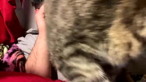 bearmoon820430 online show from November 4, 1:16 am