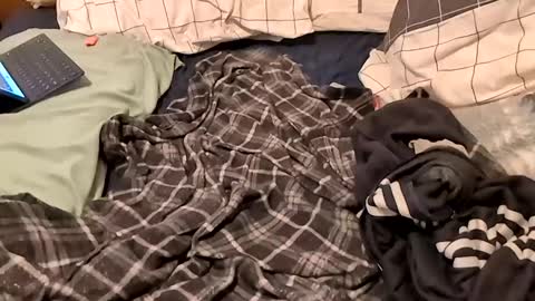 boiwithpussy online show from February 16, 1:38 am