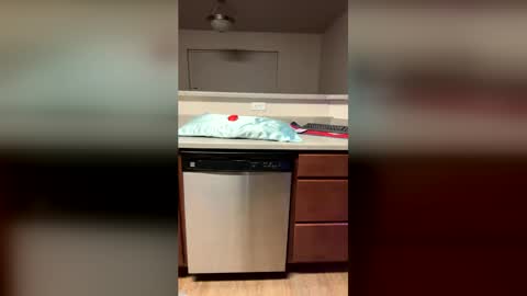 Boner26 online show from June 6, 11:17 am