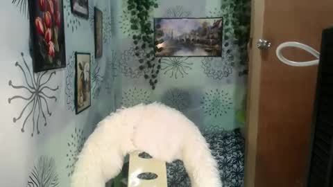 chescahotxxxl online show from December 27, 6:35 am