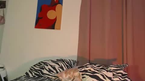 Angel online show from March 23, 9:31 pm