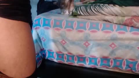 dreamreal online show from September 20, 11:27 am