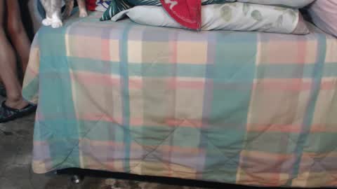 dreamreal online show from October 18, 11:25 am