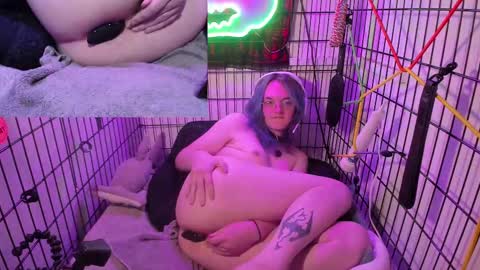 edenmutt online show from March 12, 2:52 am