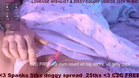 Meadow online show from February 22, 11:13 am