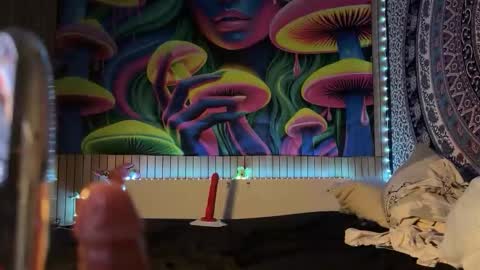 kittyland online show from September 29, 7:35 pm