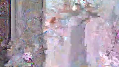 jamaeca online show from November 2, 12:36 pm