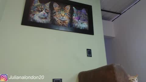   online show from May 15, 10:51 pm