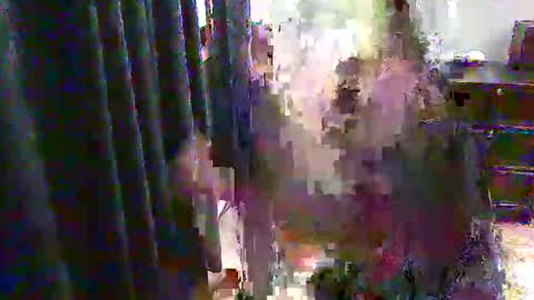 Michelle online show from September 29, 12:10 am