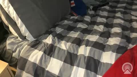 littlesissygirl online show from February 28, 6:53 am