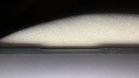 lonemyau online show from January 2, 2:33 am