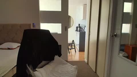 Anghy online show from April 15, 8:42 pm