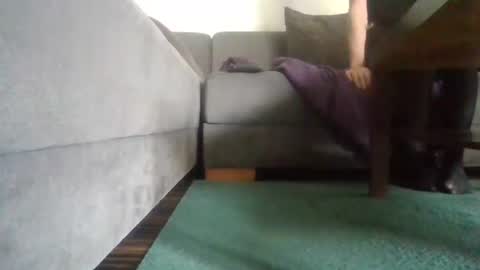 Nikola online show from April 14, 9:36 am