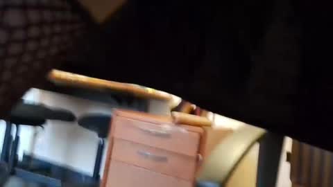 Maya online show from February 5, 3:31 pm