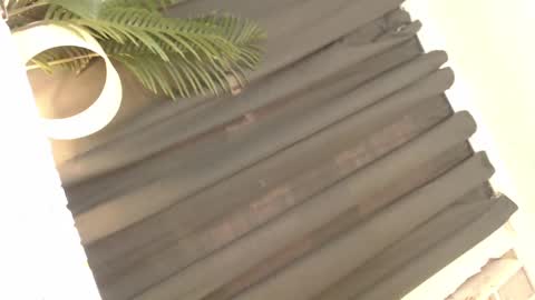 nhairobi online show from January 30, 6:56 am