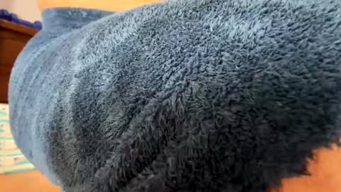 Ninfo Puta online show from February 3, 9:52 am