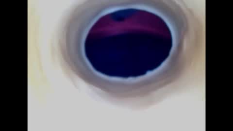 Paula 18 Aninhos online show from January 19, 6:11 am