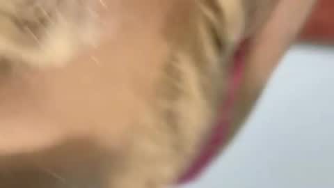 Sandra online show from February 6, 9:48 am