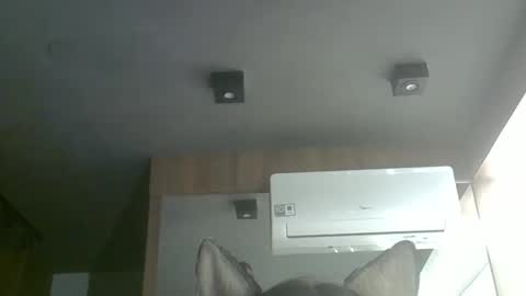 skinnykittencam online show from October 31, 3:38 am
