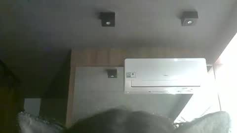 skinnykittencam online show from February 2, 4:11 am