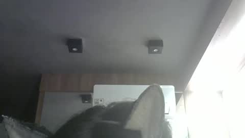 skinnykittencam online show from May 9, 8:02 pm