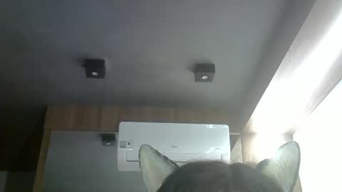 skinnykittencam online show from May 14, 10:03 am