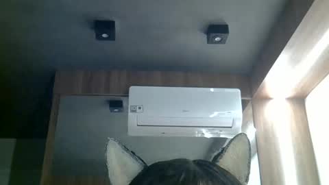 skinnykittencam online show from May 18, 4:07 am