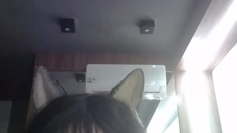 skinnykittencam online show from May 21, 9:16 am