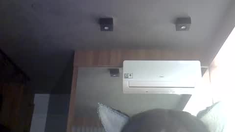 skinnykittencam online show from May 30, 6:55 am