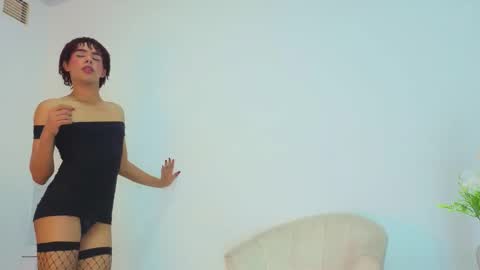 Steicy online show from March 19, 1:00 pm