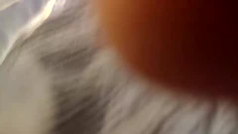 tgurl4fun online show from March 7, 8:09 am