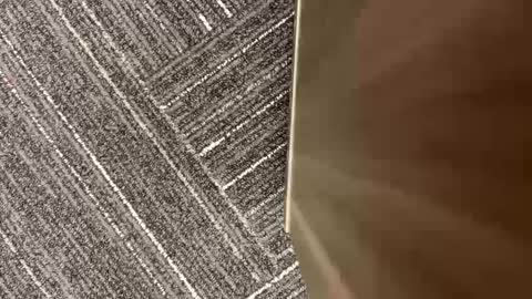 thebodythefeet online show from February 4, 2:43 pm