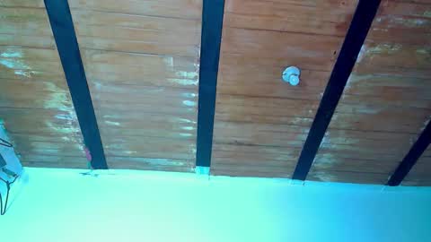 trix_ebony online show from November 3, 10:31 pm