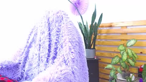 Trix online show from February 1, 6:34 am