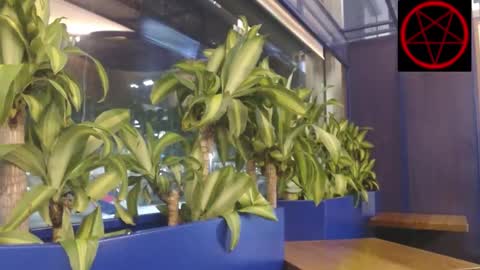 Victoria Vampire online show from January 7, 7:11 am