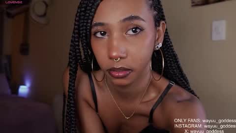 Wayuu Goddess  3 online show from November 21, 12:39 pm