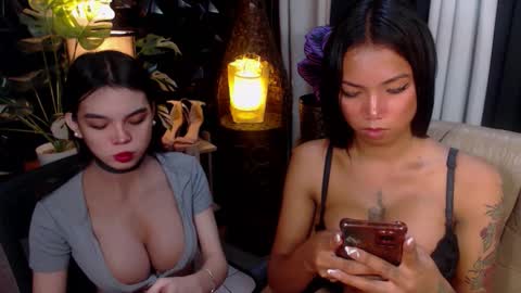 wildara online show from November 26, 11:18 pm