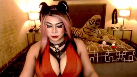 wildtransjhade online show from January 18, 6:37 pm