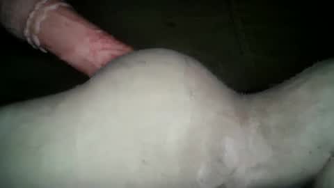 Wendy online show from January 25, 8:31 am