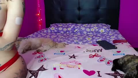 ZARA ANYELINA online show from December 7, 8:16 am