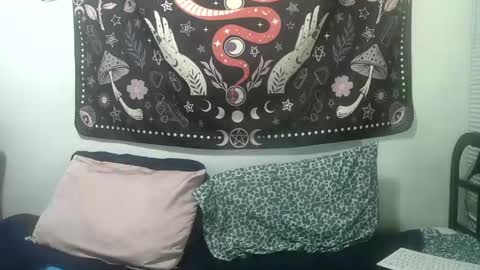 Zelda online show from January 3, 2:21 am