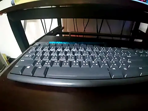 LiLi CC2023 online show from January 22, 1:53 pm