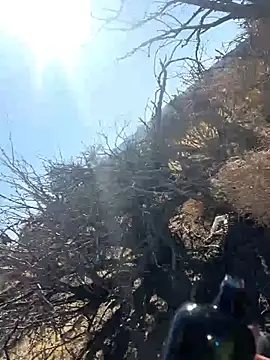 TSJade95 online show from February 26, 10:31 pm