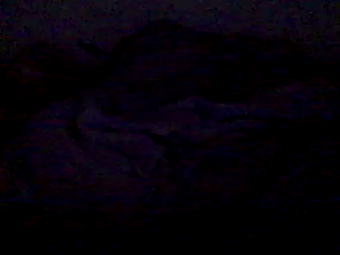 Snapshot of _bahya chatting on September 14, 12:38 am  bahya online show from September 14, 12:38 am