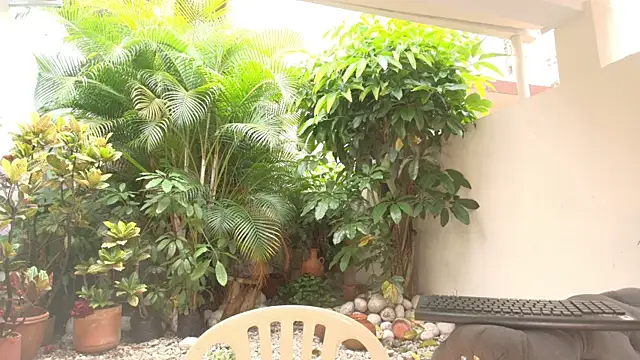 DannaDooll99 online show from October 12, 1:02 pm